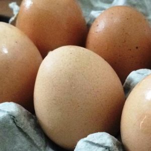 Agen Telur Ayam Berkualitas Tangerang Dan Sekitarnya