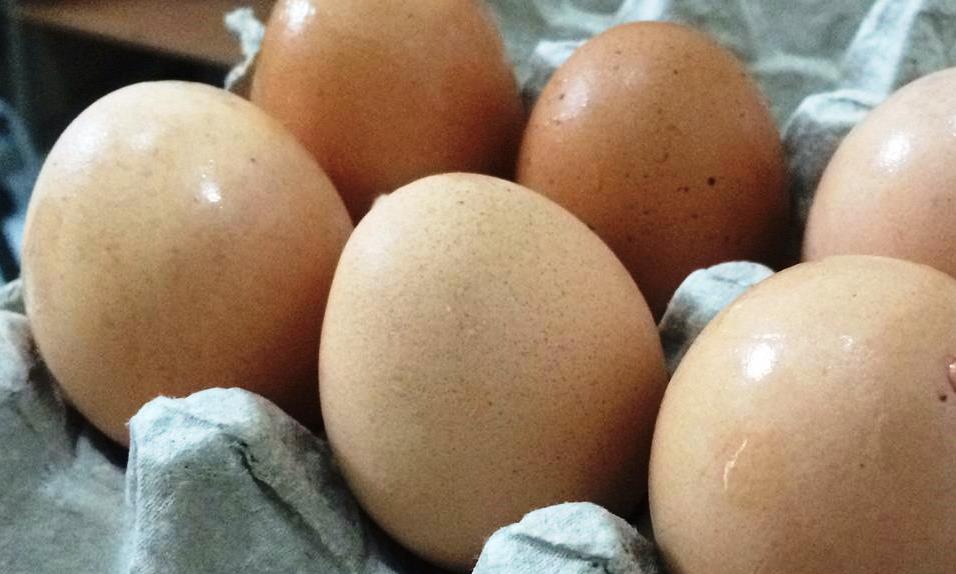 Agen Telur Ayam Berkualitas Tangerang Dan Sekitarnya