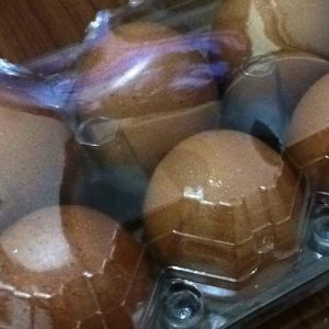 Berkat Telur